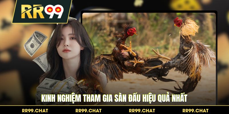 Kinh nghiệm tham gia sàn đấu hiệu quả nhất